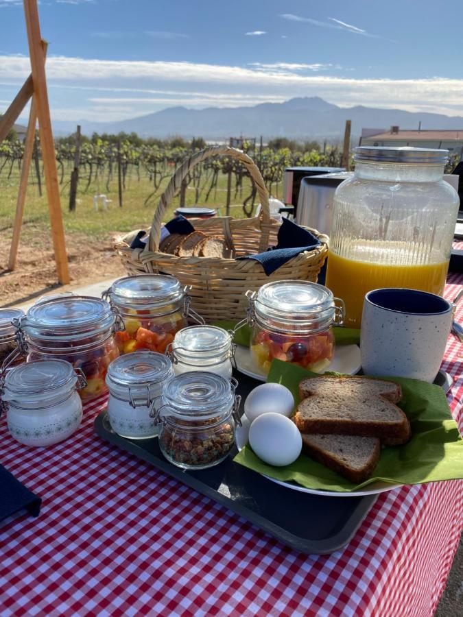 The Pangea Valle De Guadalupe Hotell Exteriör bild